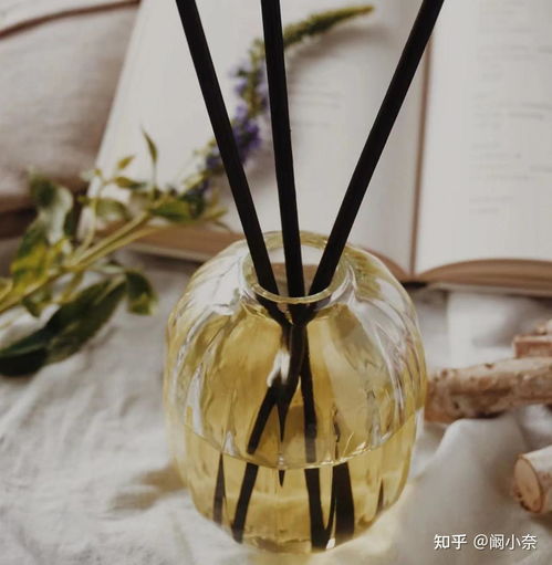 2024热门香薰排行榜 好闻到想“吃”的香薰，打造你的私人薰衣草庄园